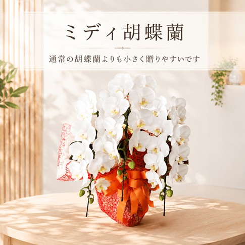 https://1187i.com/shopbrand/ct88/