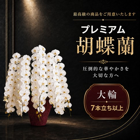 https://1187i.com/shopbrand/ct87/