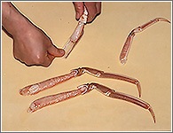 （13）片手で付け根部分を押さえ、もう一方の手でゆっくり持ち上げるようにして殻から身を取り出す。(活がには、殻に身がつきやすいので、手をそえてゆっくりはずしてください。) 