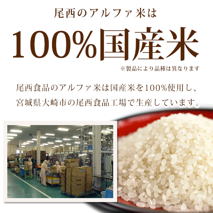 非常食 尾西食品のアルファ米10種『しっかりご飯セット』（アルファー