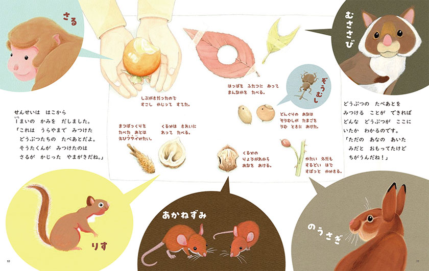 キンダーおはなしえほん2022年10月号／せんせい、どこいくの？　～どうぶつがくしゃのしごと～