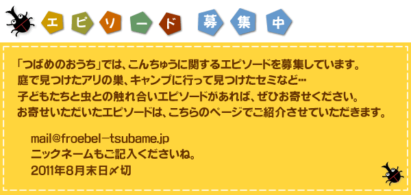 こんちゅうクイズ こんちゅう博士になっちゃおう フレーベル館オンラインショップ つばめのおうち