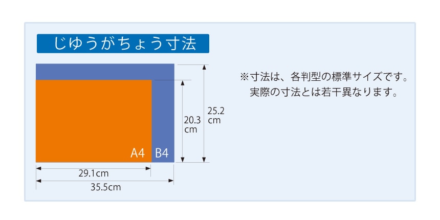 23）じゆうがちょう（Ｂ4・Ｓ40）ライオン（40枚入）