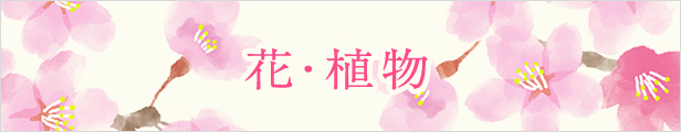 花・植物