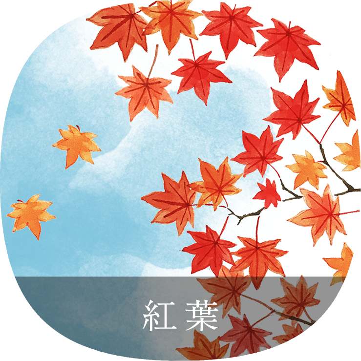 紅葉