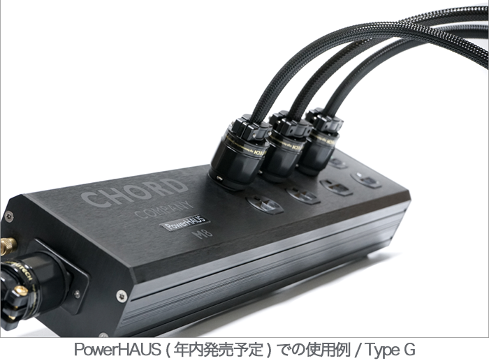 Chord Company Vega Power Cable TypeG 1.5m 電源コード Vegaシリーズ