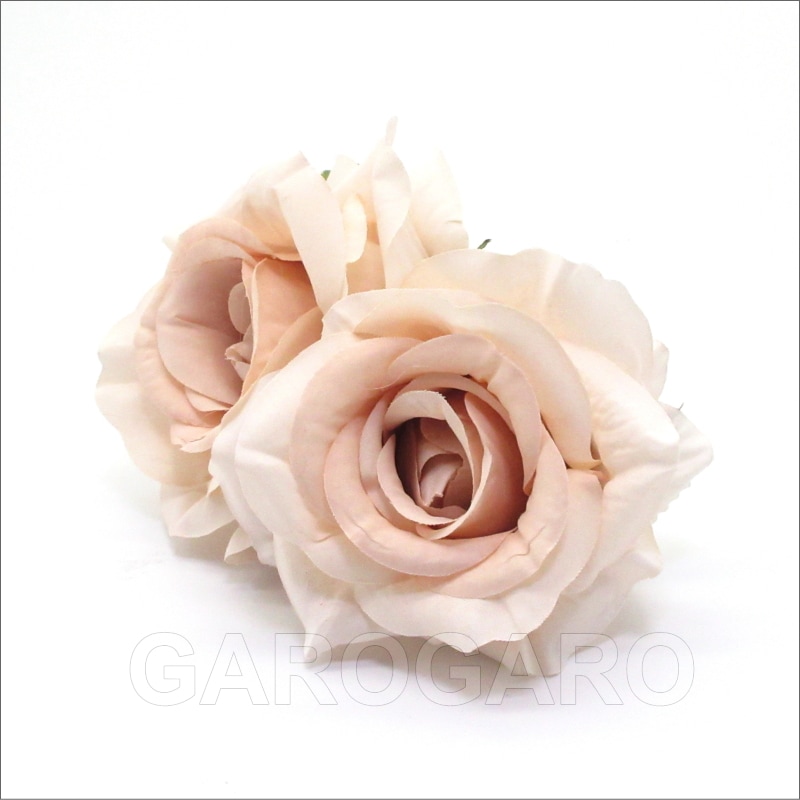 フラメンコ | ピンクベージュ色のバラ2輪 Antonella(アントネーリャ