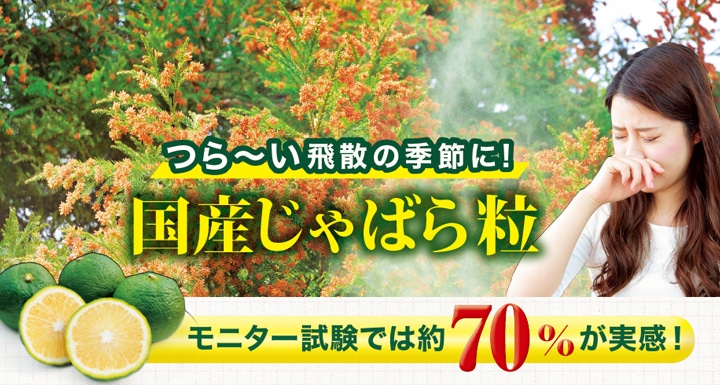 健康食品のインシップオンラインショップ 国産じゃばら粒 186mg×30粒 <つら～い飛散の季節に>