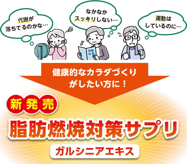 ��Ū�ʥ�����Ť��꤬���������ˡ�����ǳ���к����ץꡡ���륷�˥�������