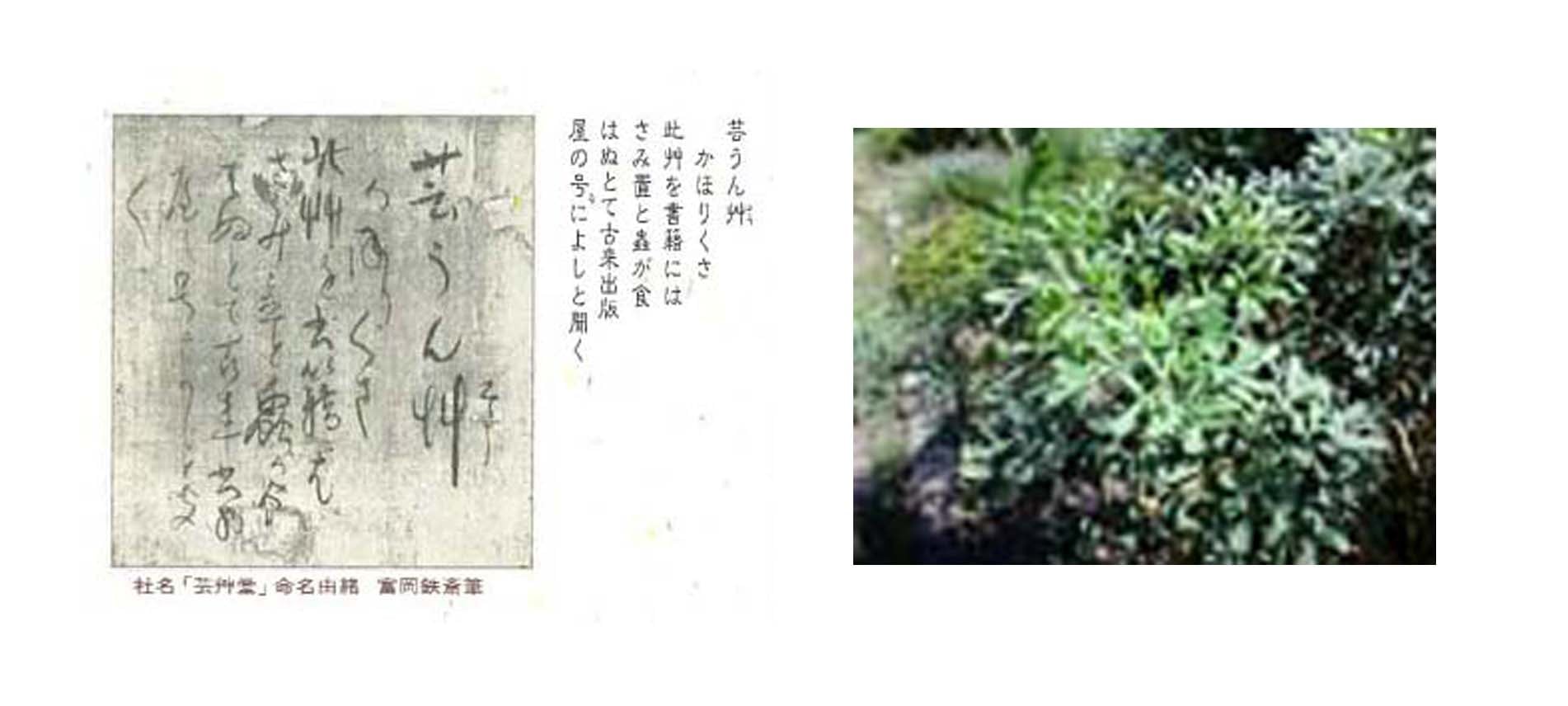 木版画のことなら『木版画 芸艸堂 Woodblock print』