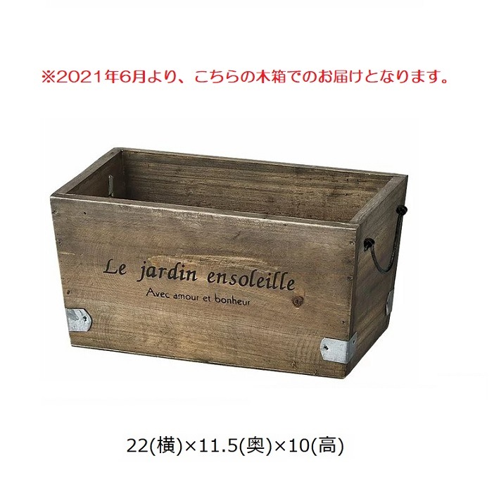 プレゼントにも 室内の癒しアイテム 産地直送 多肉 木箱の寄せ植え 多肉box お手入れカンタン 室内ok ミニチュア雑貨などと一緒に飾って楽しもう 受注生産 おしゃれな多肉のインテリア メッセージカード可