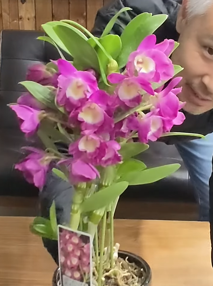 ゲキハナ感激安心のお花屋さん 本店