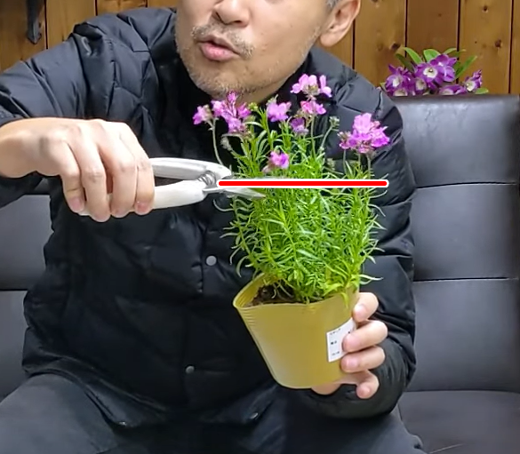 ゲキハナ感激安心のお花屋さん 本店