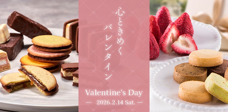 �������ý�