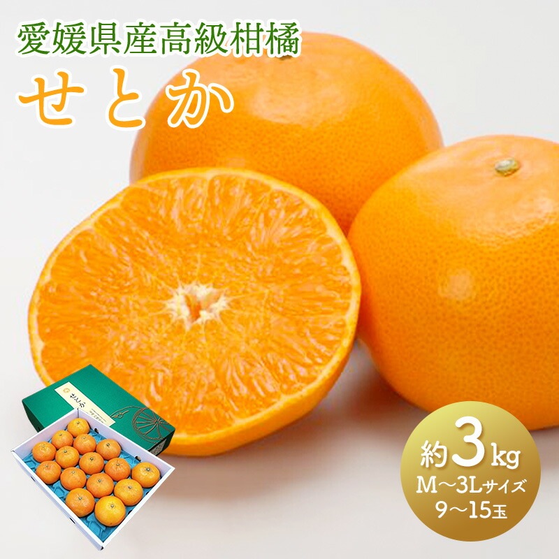 2024年2月下旬～3月上旬お届け】 愛媛県産 せとか 約3kg （ M～3L