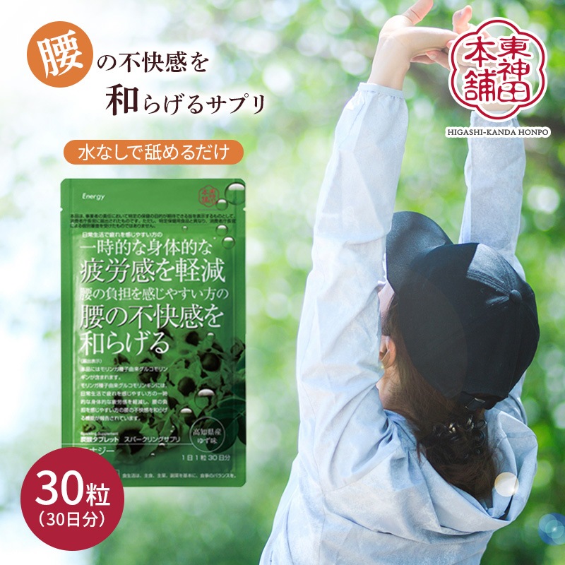 在庫処分 1000円ポッキリ 】【ゆうパケット】 機能性表示食品 東神田