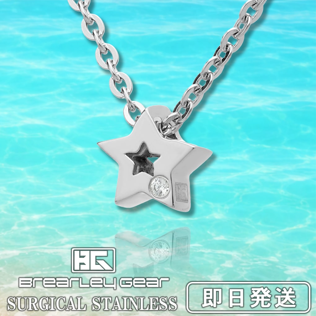 Brearley Gear ブレアリーギア スモールスター ネックレス ステンレス レディース スター