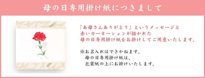 母の日専用掛け紙