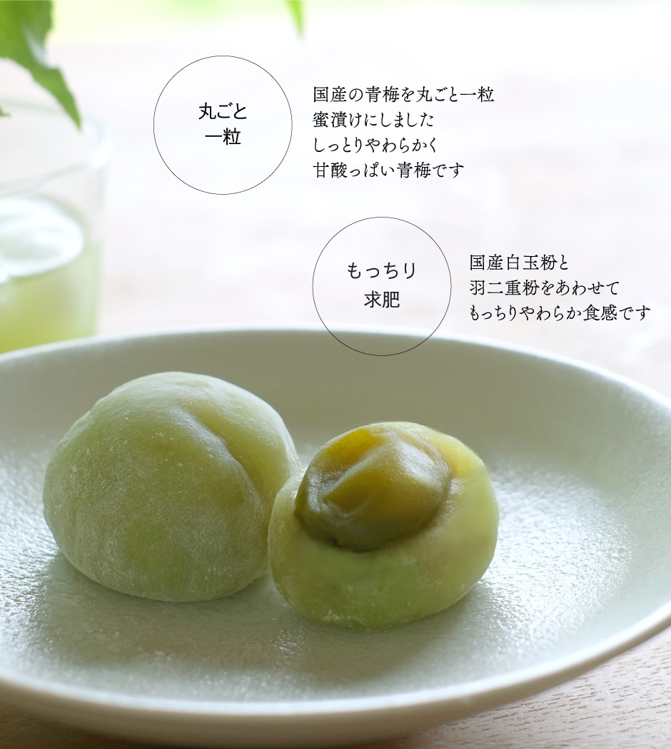 内容紹介2