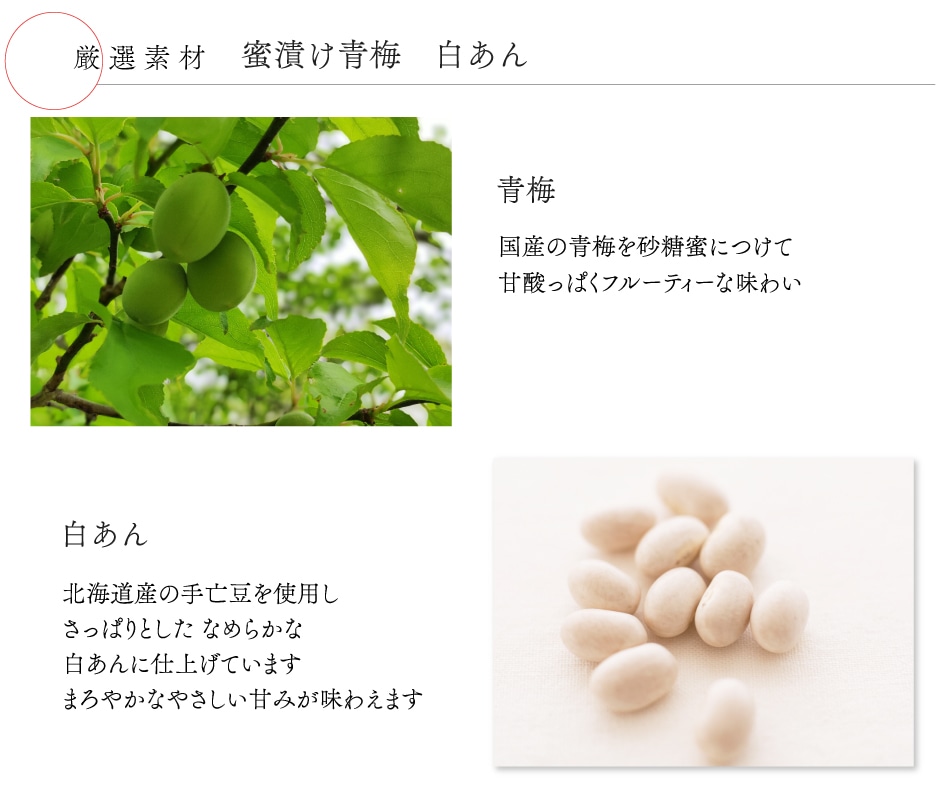 内容紹介3
