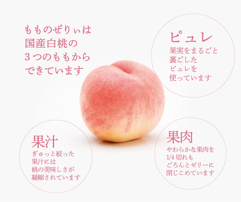 内容紹介2