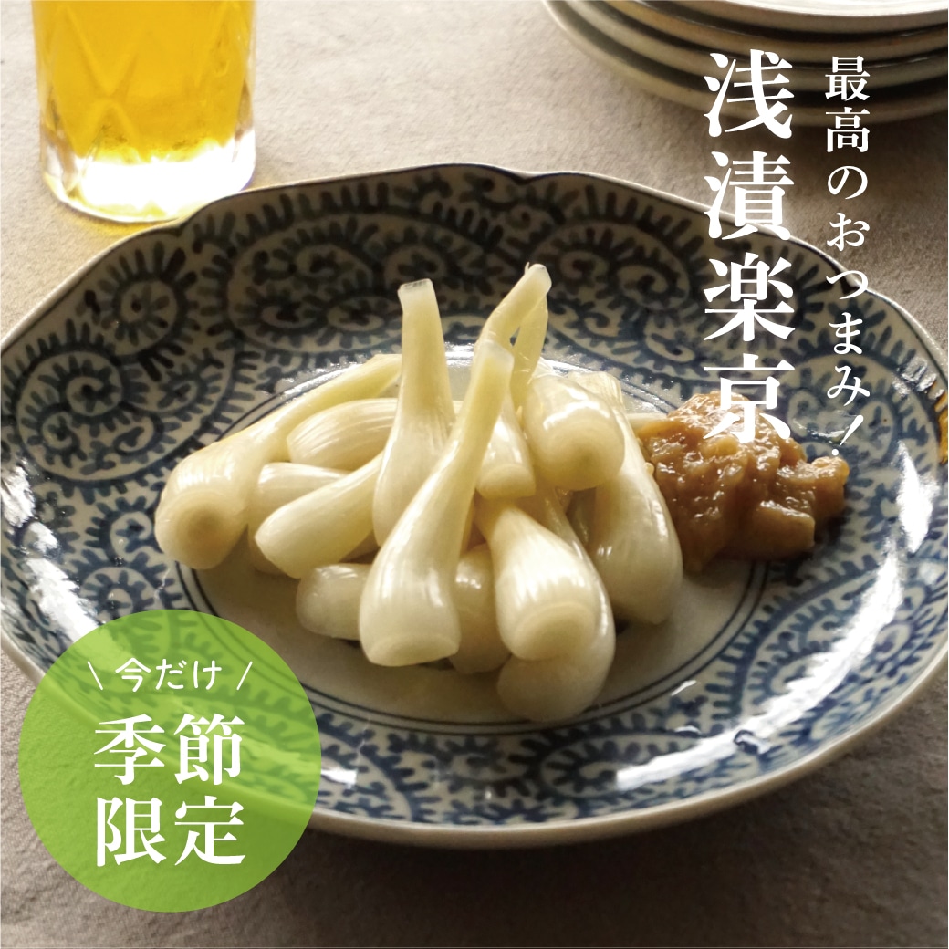 浅漬らっきょう