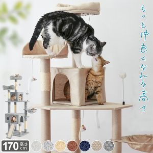 New Arrival
