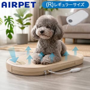 New Arrival