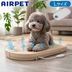 New Arrival