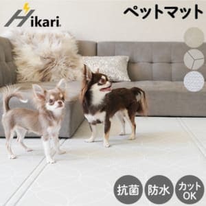 New Arrival