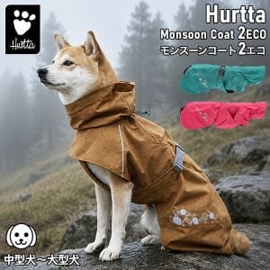 New Arrival