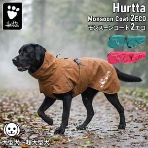 New Arrival