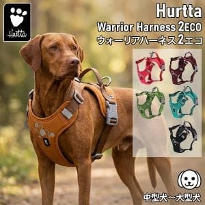 New Arrival