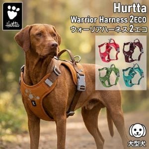 New Arrival