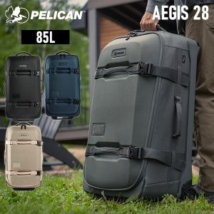 New Arrival