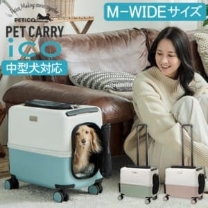 New Arrival