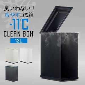 New Arrival