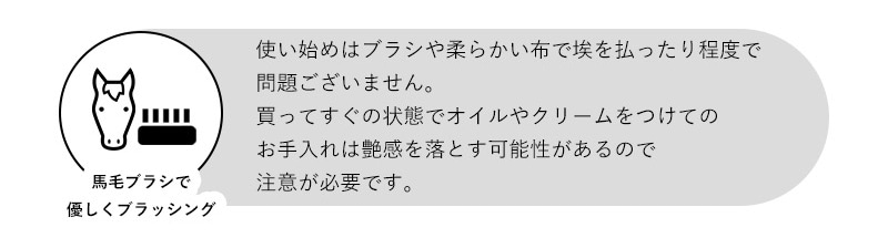 使い始めはブラシや柔内布で埃を払ったり程度で問題ございません。