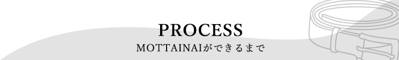 MOTTAINAIが出来るまでのプロセス