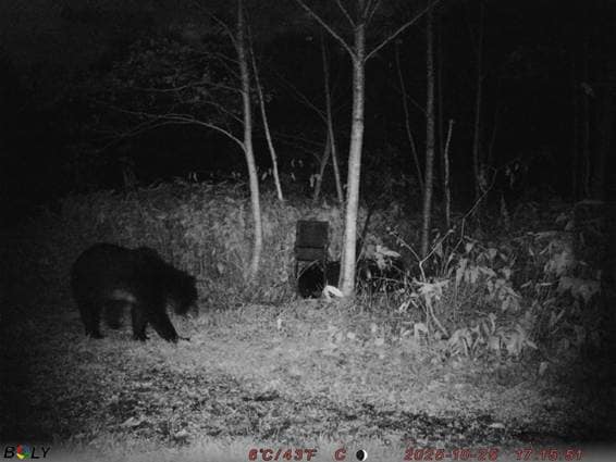 ���Ƥ��줿����