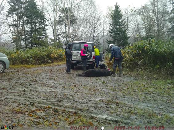 ���Ƥ��줿����