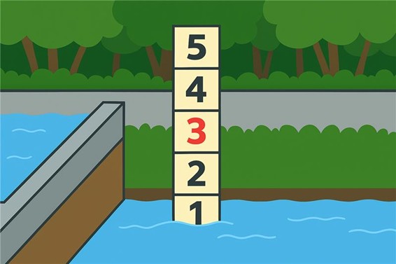 ���Ʋ������᡼��