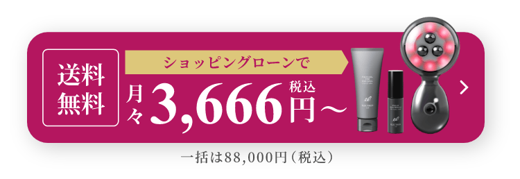 ショッピングローンで月々3,666円(税込)〜