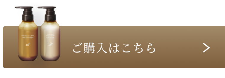 購入はこちら