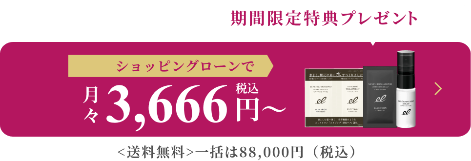 ショッピングローンで月々3,666円(税込)〜一括は88,000円