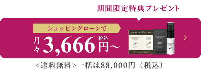 ショッピングローンで月々3,666円(税込)〜一括は88,000円