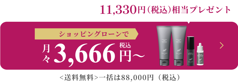 ショッピングローンで月々3,666円(税込)〜一括は88,000円