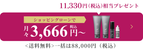 ショッピングローンで月々3,666円(税込)〜一括は88,000円