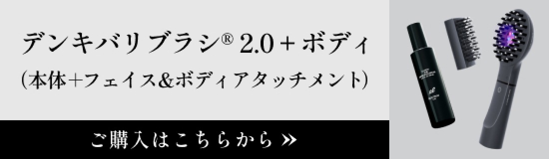 デンキバリブラシ(R) 2.0 単品モデル エレクトロン部位顔目元足