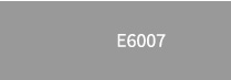 E6007